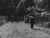 Community Gardens and the People Growing Something More Than Vegetables