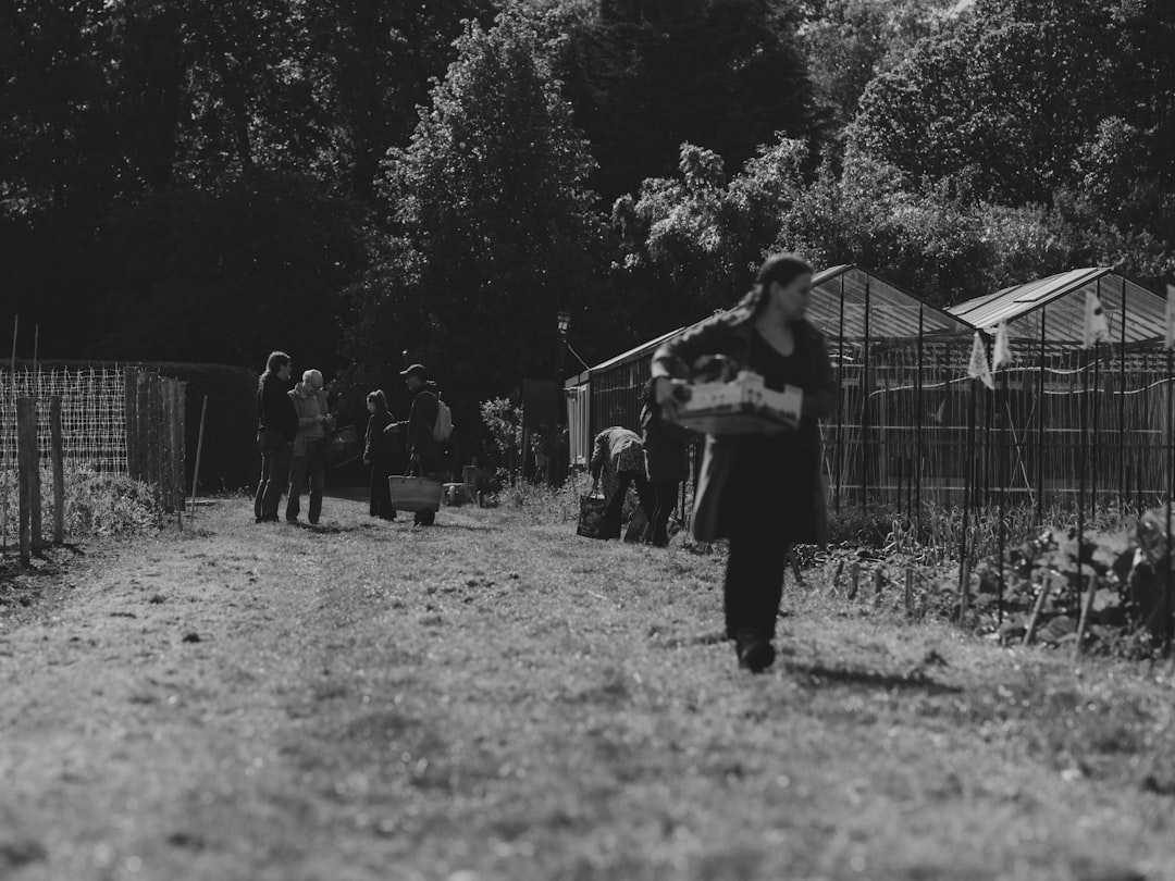 Community Gardens and the People Growing Something More Than Vegetables