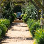 Gardening Trends and What British People Are Growing This Year